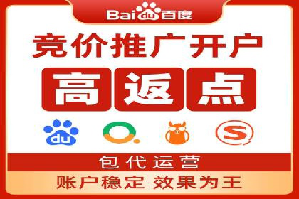 百度推广实战攻略：案例与策略